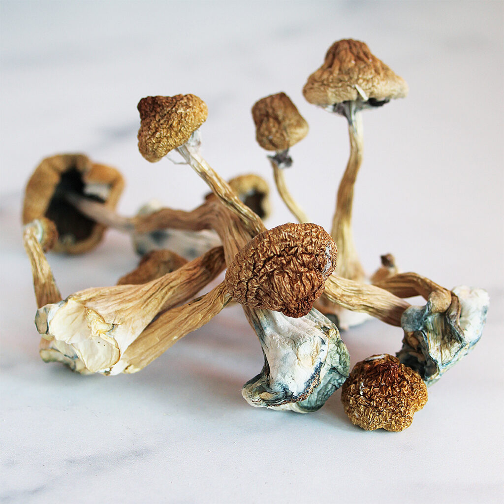 Ultimate Guide to Finding Legal Magic Mushrooms in the UK