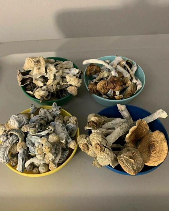 Step-by-Step Guide: Ordering Magic Mushrooms Online