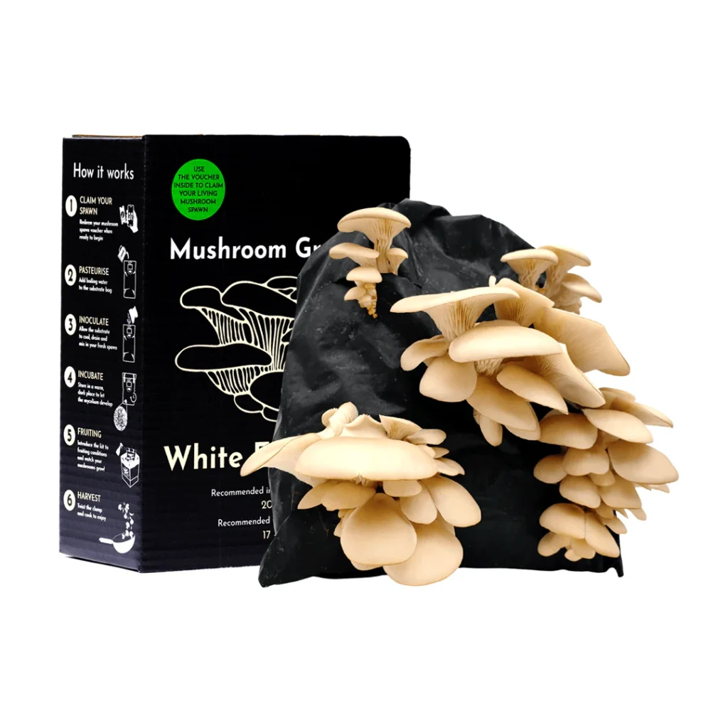 Discover Secret UK Spots to Buy Magic Mushrooms Legally!