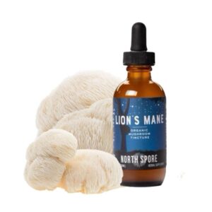 Organic Lion’s Mane Mushroom Tincture Extract