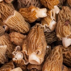 Fresh and Delicious Morel Mushrooms – 160g per Pack (UK)