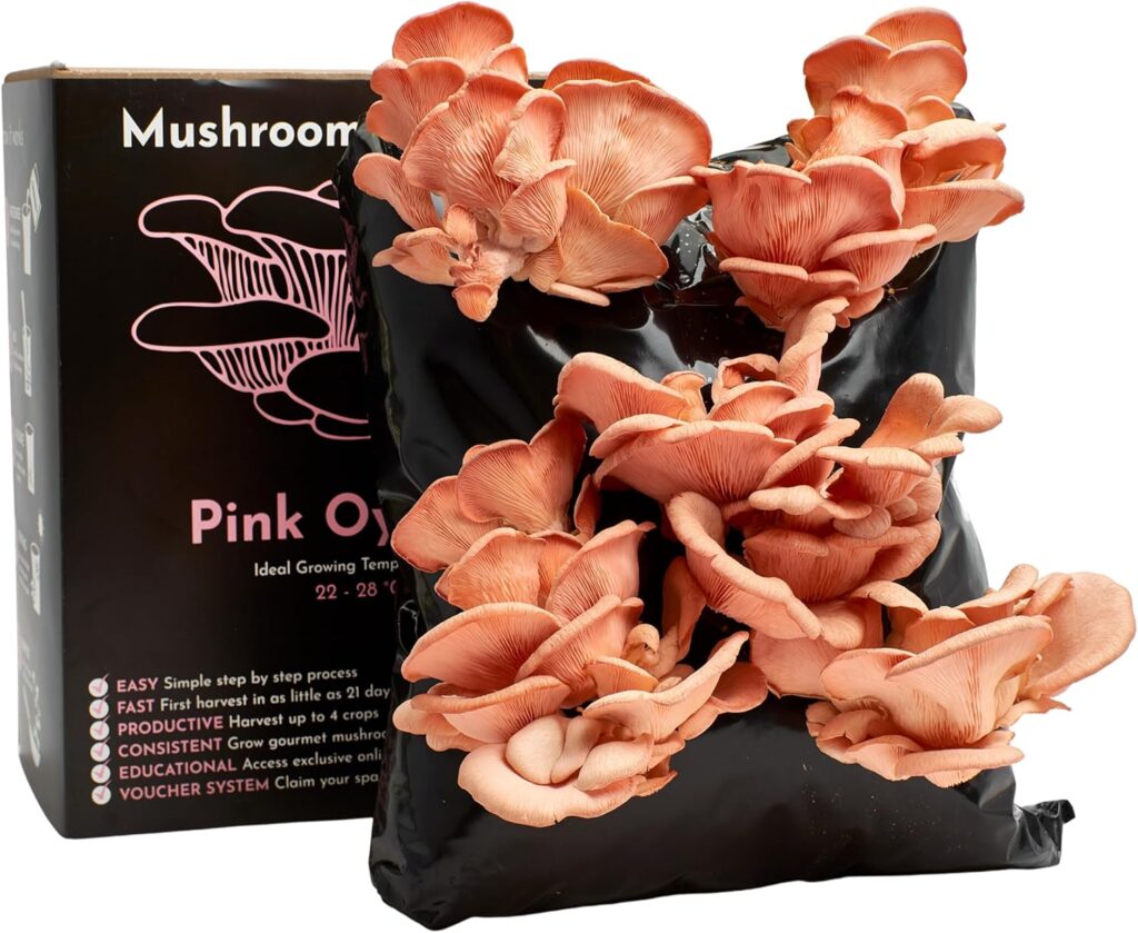Magic Mushroom Grow Kit UK Delivery: Your Guide to Home Cultivation