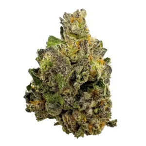 Buy Granddaddy Purple Online in the UK | Premium Quality Cannabis – Psymushroom
