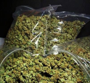 Buy OG Kush Online UK and Europe