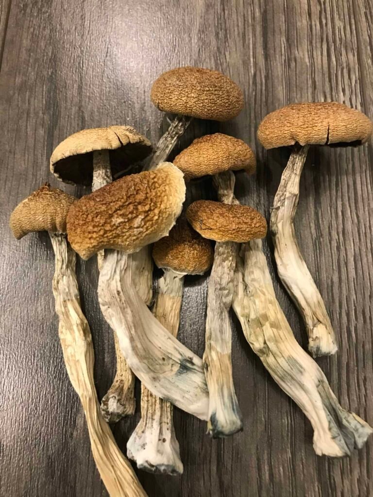 Step-by-Step: Receiving Magic Mushroom Deliveries at Home in the UK