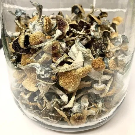 How to Safely Buy Psychedelic Products Online in the UK