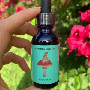 Red Cap Mushroom Microdose 1 oz – UK Information & Safety Guide