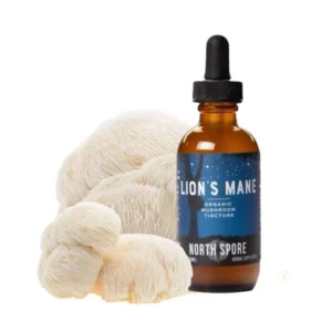 Organic Lion’s Mane Mushroom Tincture Extract – Liquid Focus Support for Mental Clarity & Brain Health